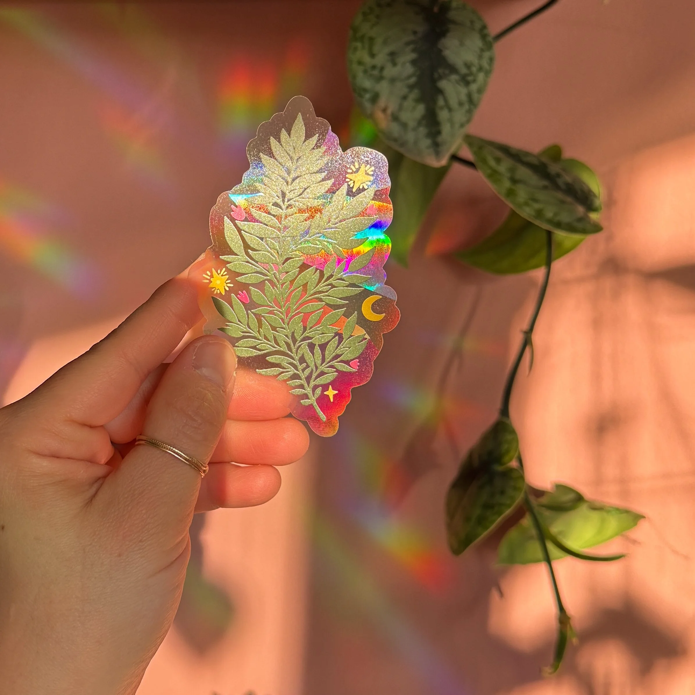 90DAB273-9222-4594-8361-F421C7CB5D69 copy.jpg