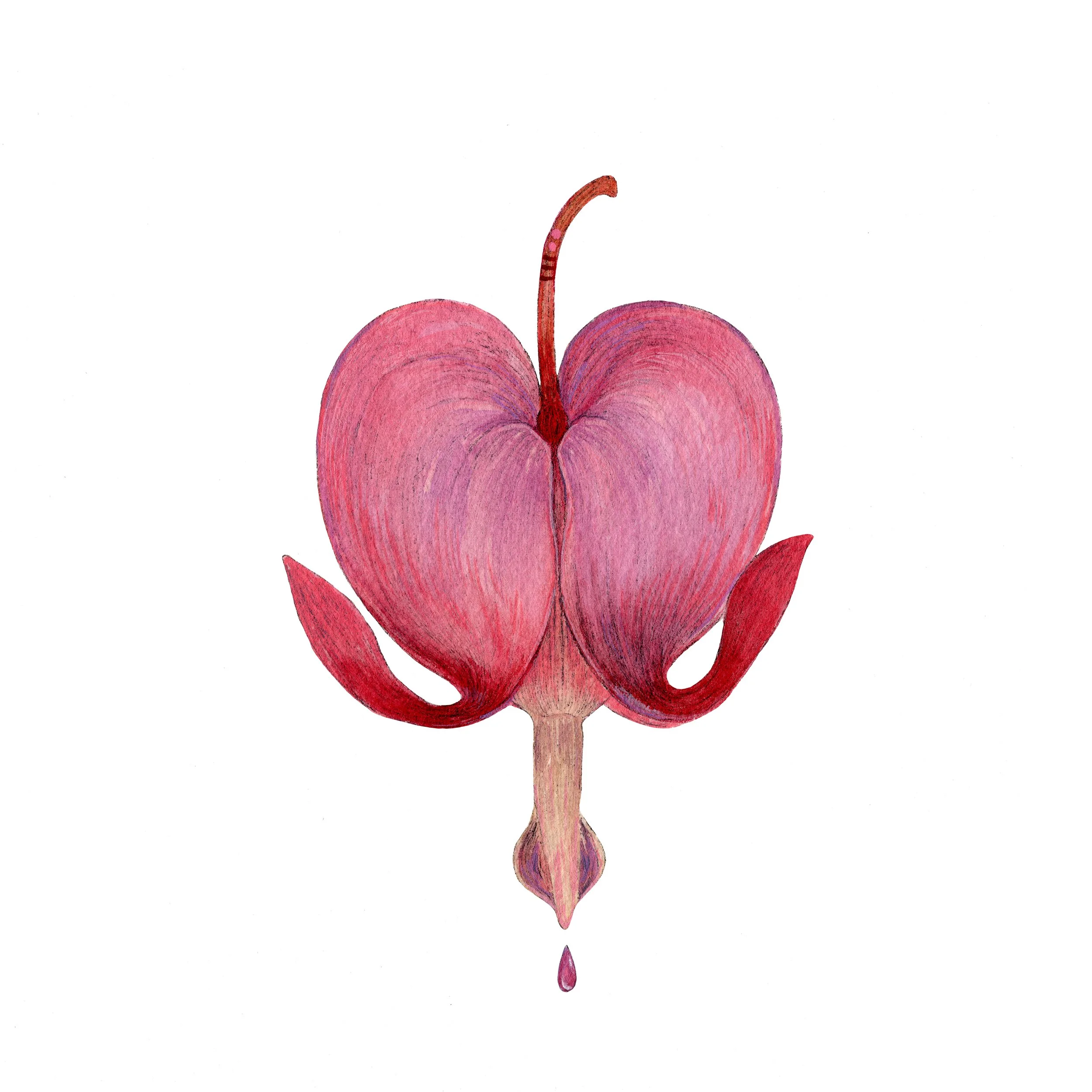 BleedingHeart web.jpg