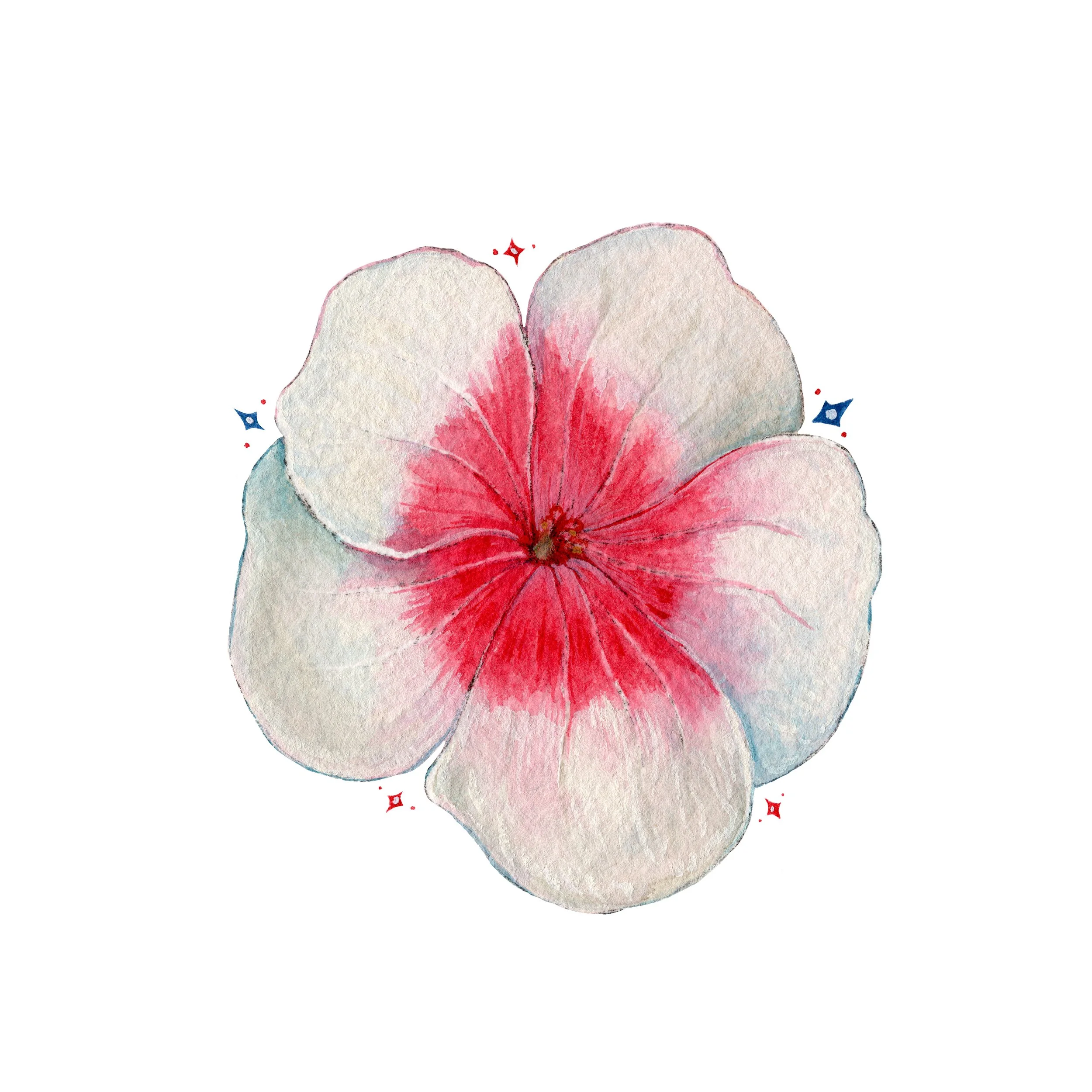 Geranium web.jpg