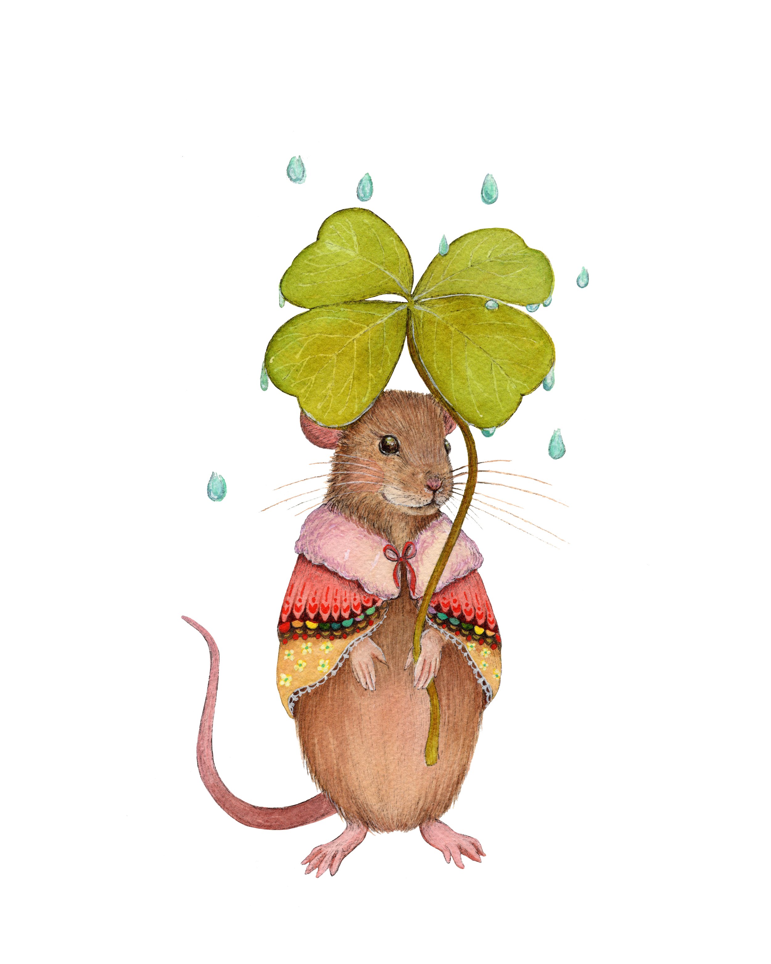 Lucky Martin web.jpg