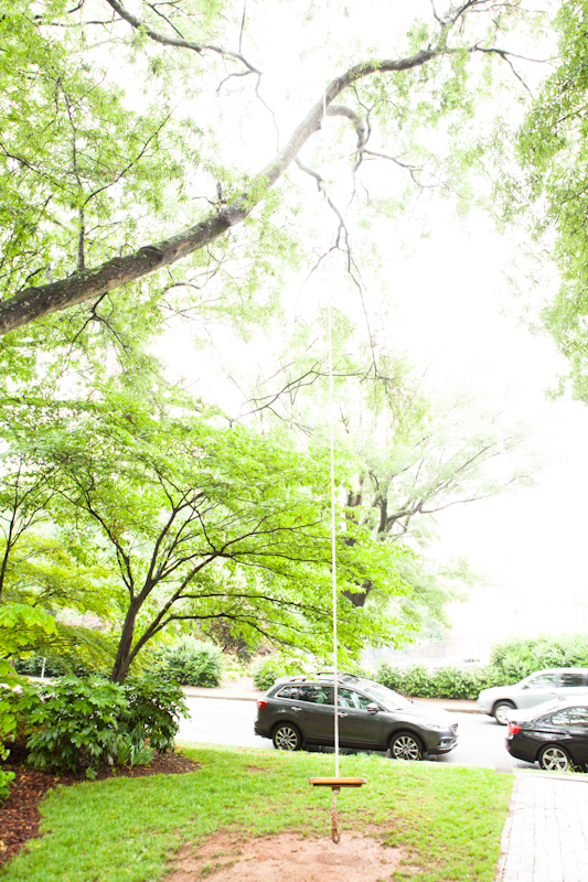The tree swing