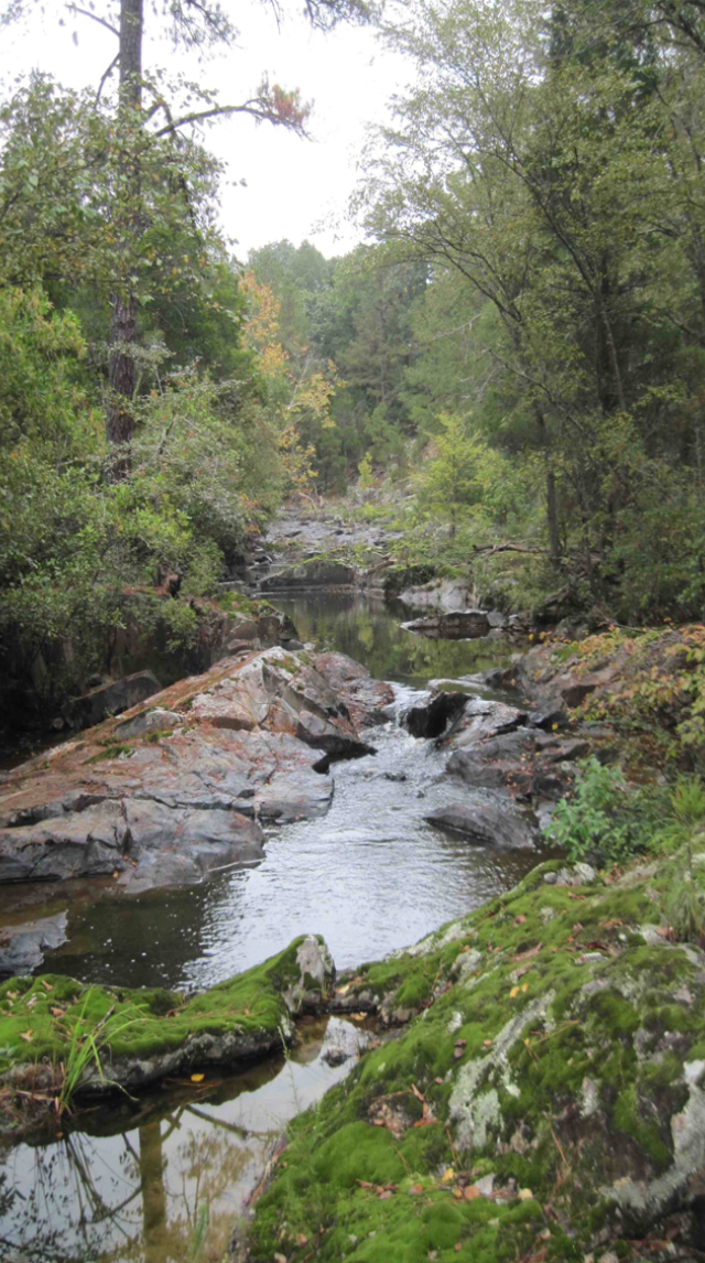 ROCKY CREEK NATURE HIKE