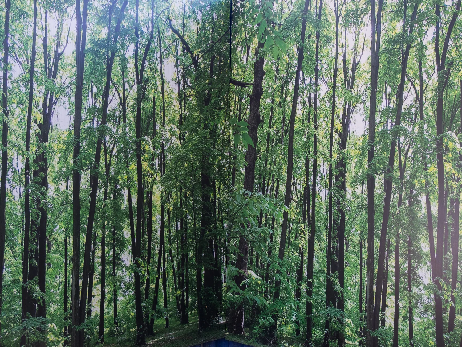 Kuala Lumpur, Malaysia