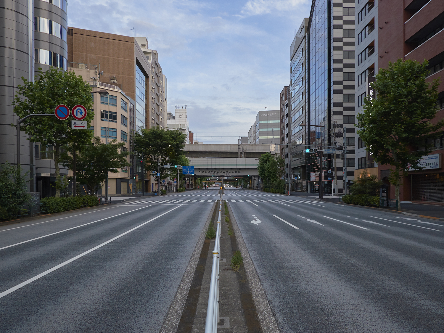 TokyoDePopulated01.jpg