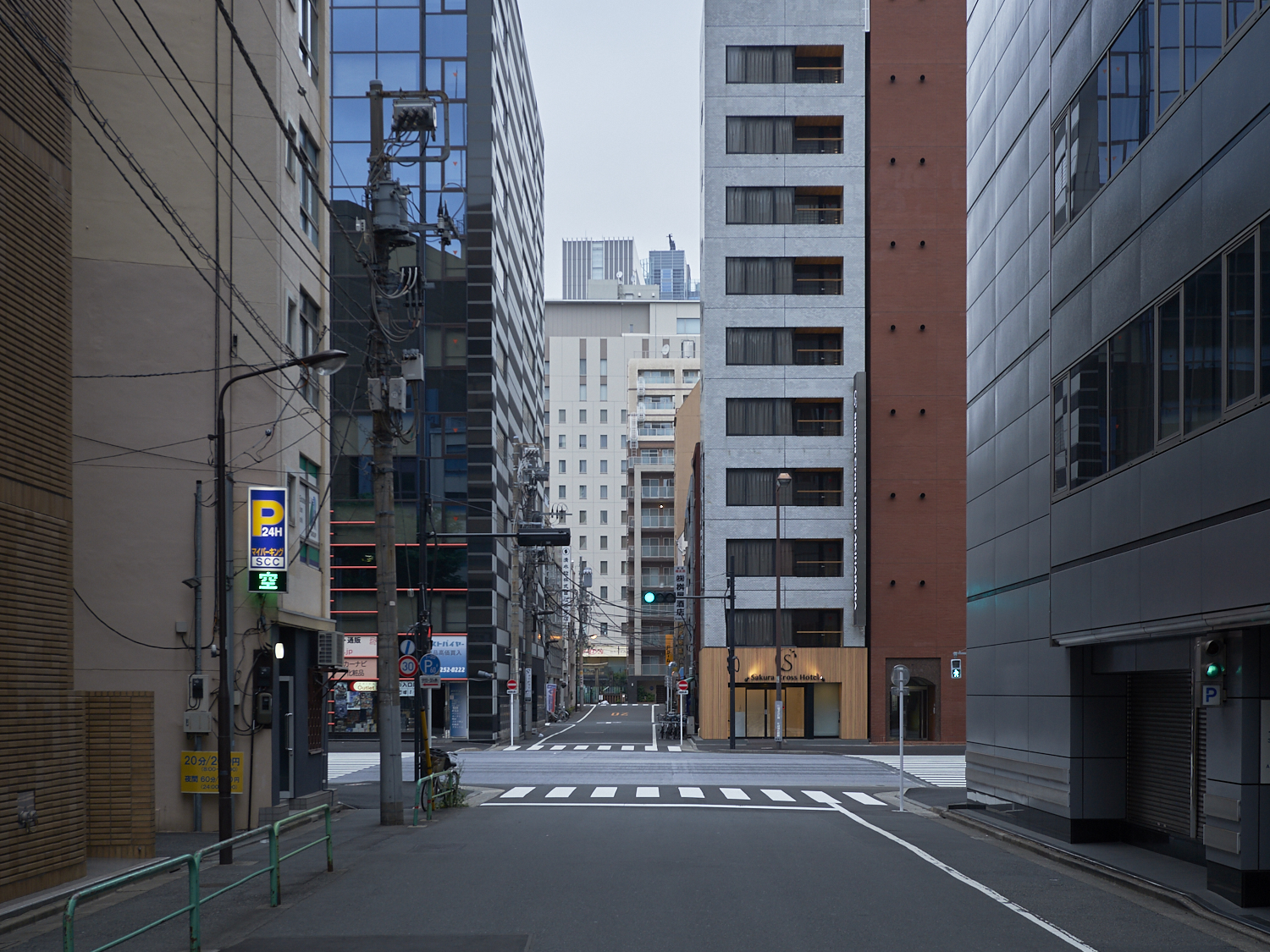 TokyoDePopulated07.jpg