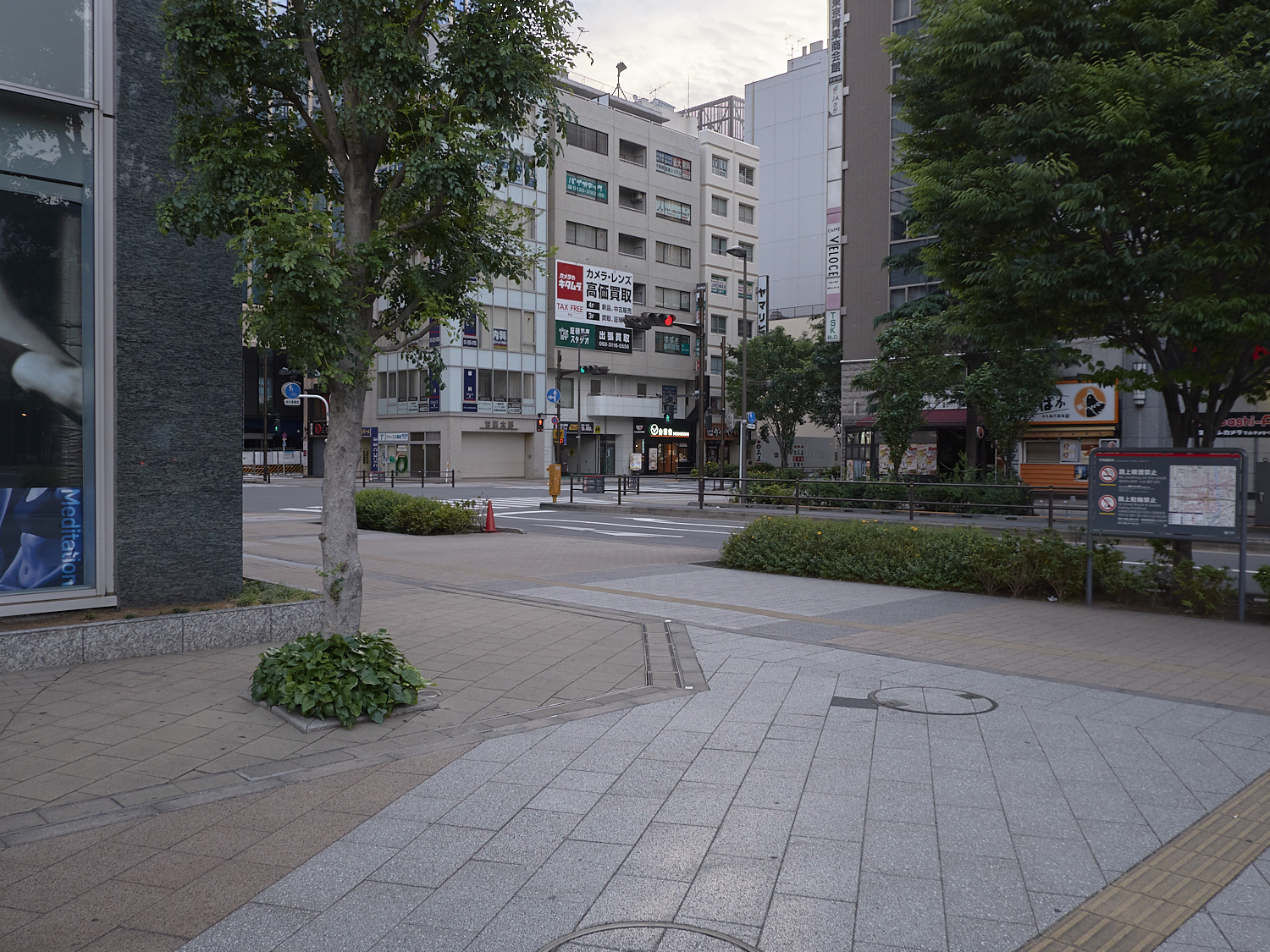 TokyoDePopulated08.jpg