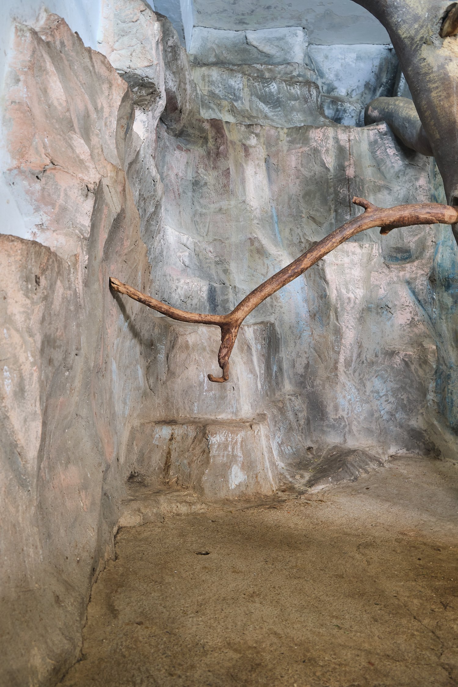 Tashkent Zoo Cage 04 1.jpg