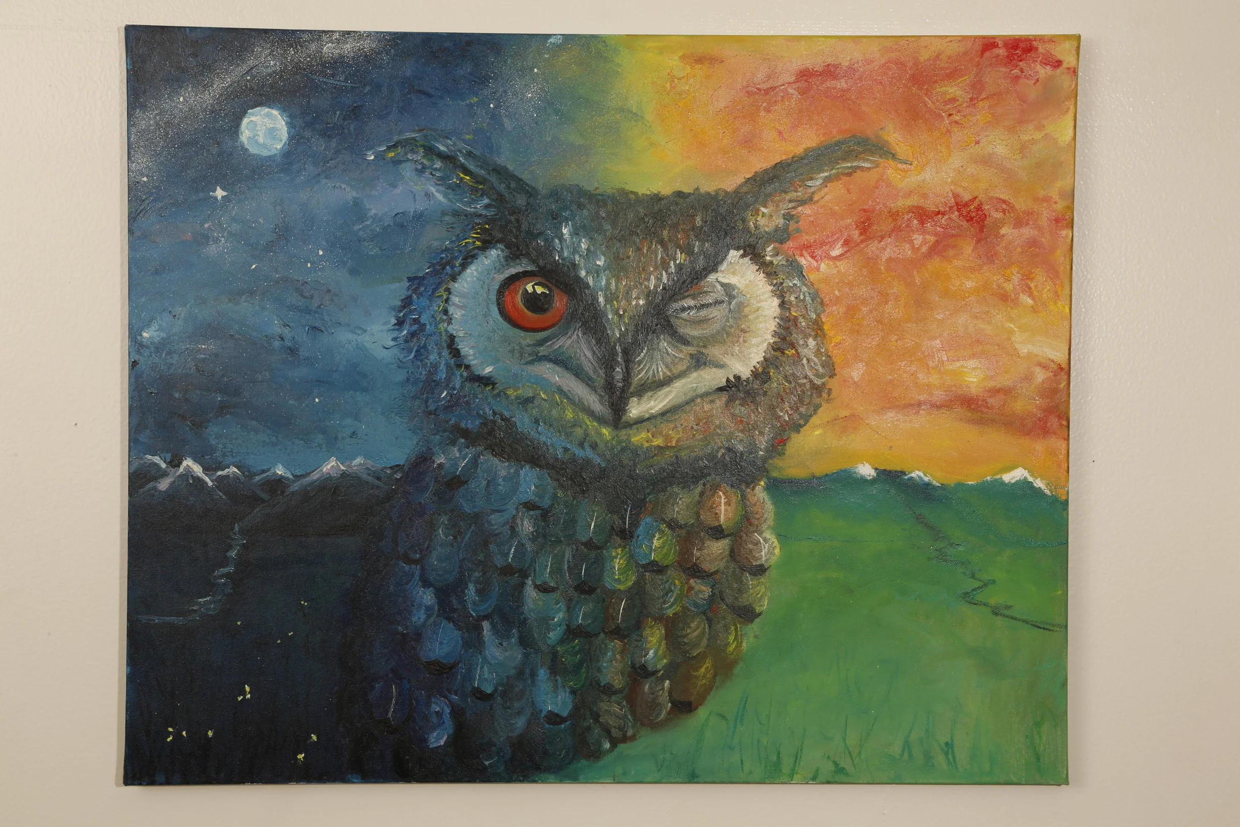 Night Owl