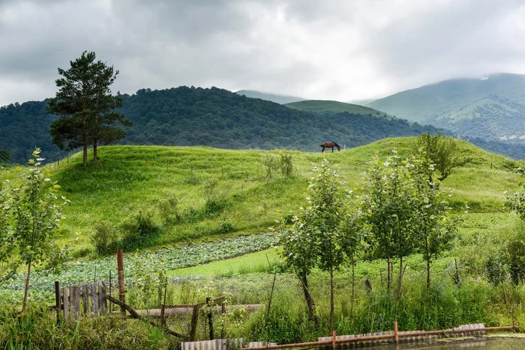 View from the Molokan village of Fioletovo
