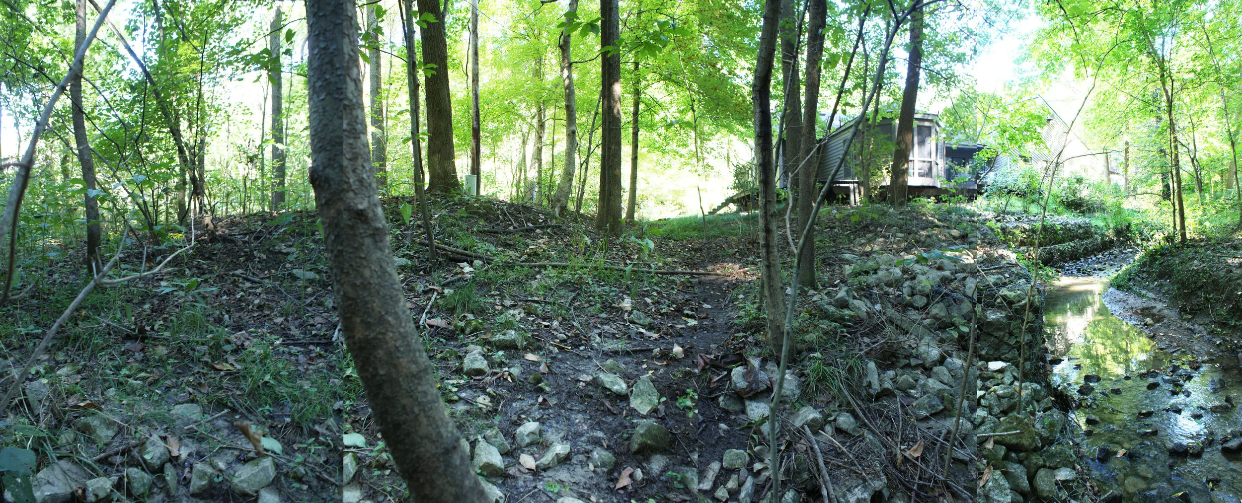 Woodland Restoration Zone B_swale