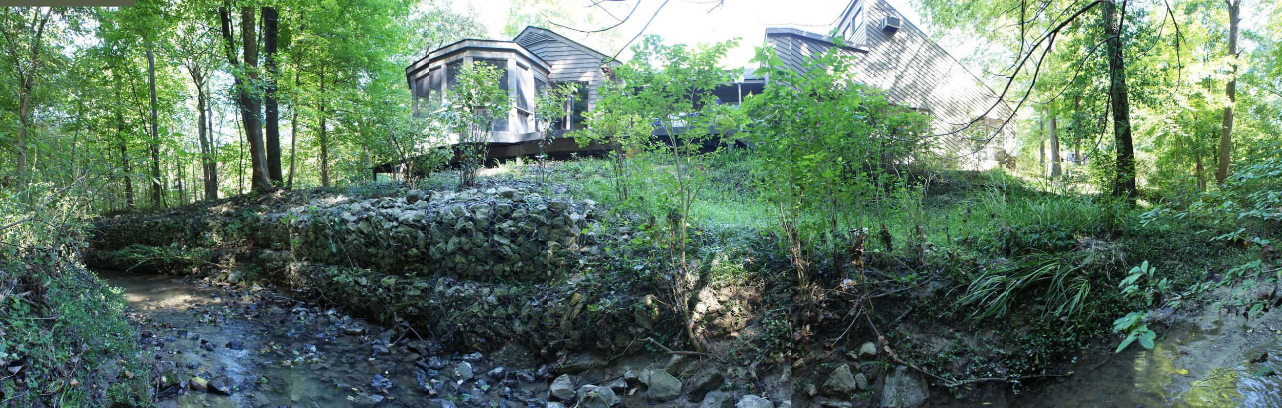 Woodland Restoration Zone C_edge
