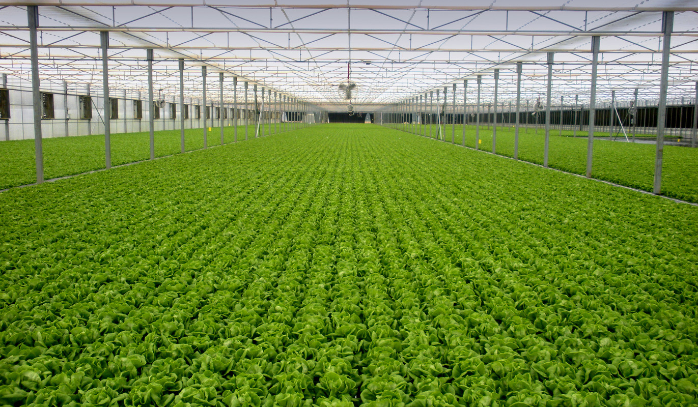 industrial greenhouse
