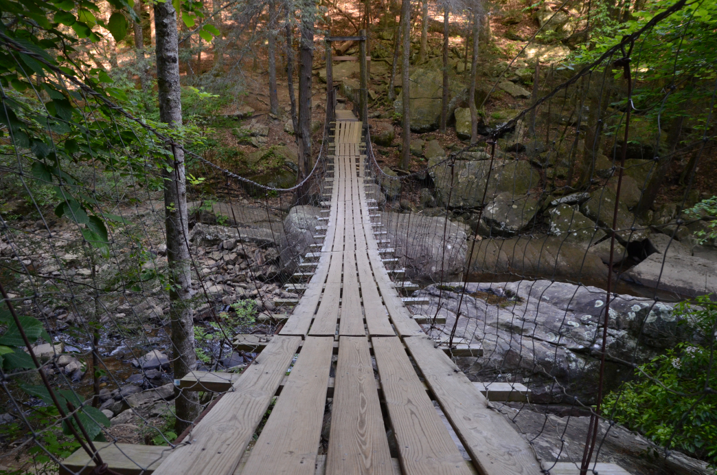 suspension bridge.jpg
