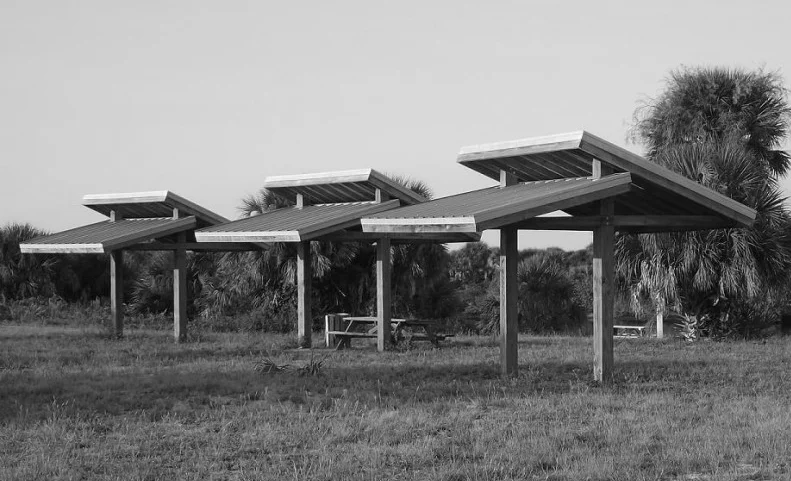 pavilion with palmn trees.jpg