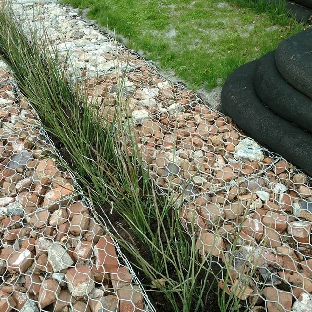 We collected what we could find of the old building into baskets.  The garden remains.