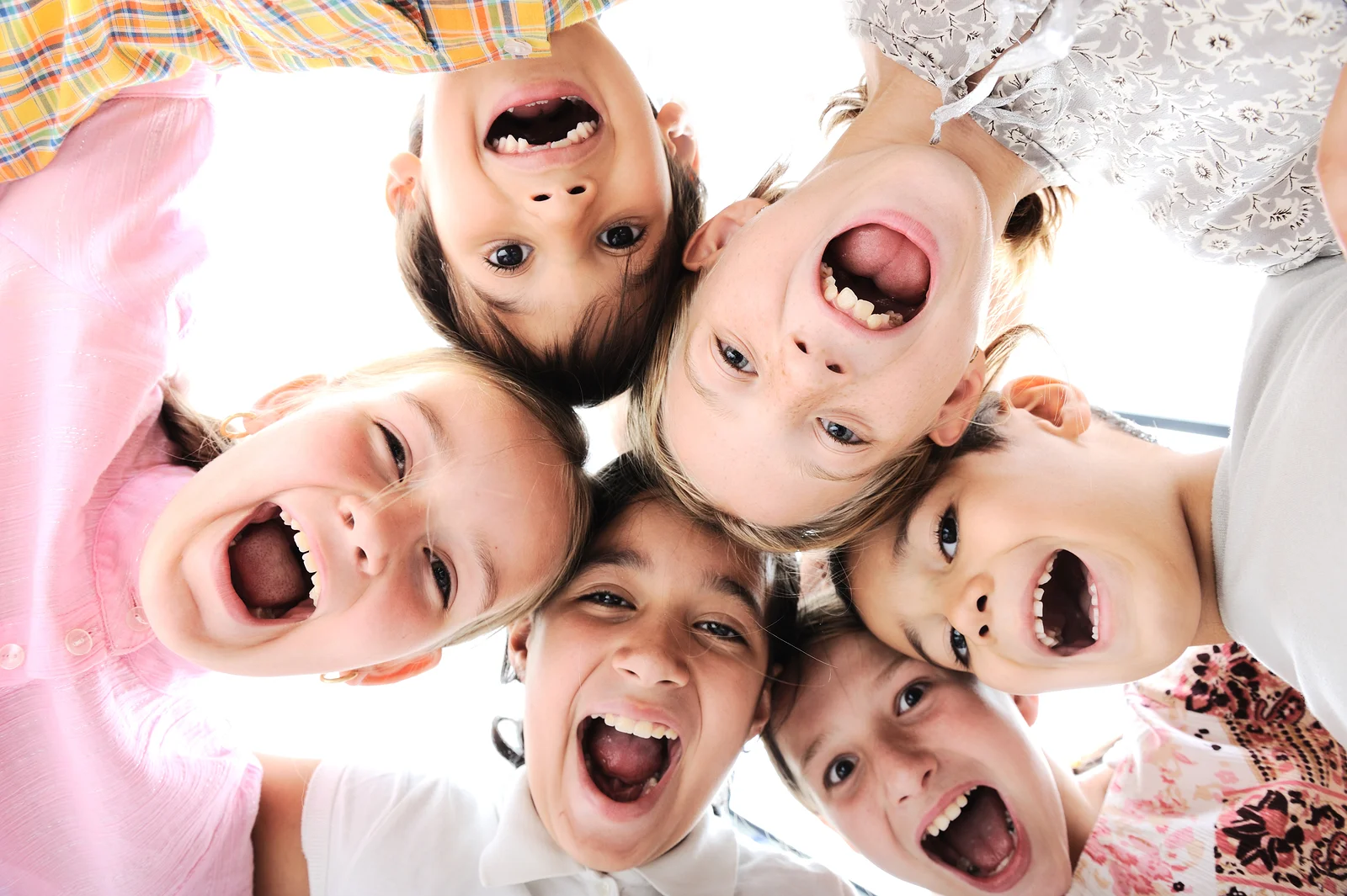 Cranium Kids.jpg