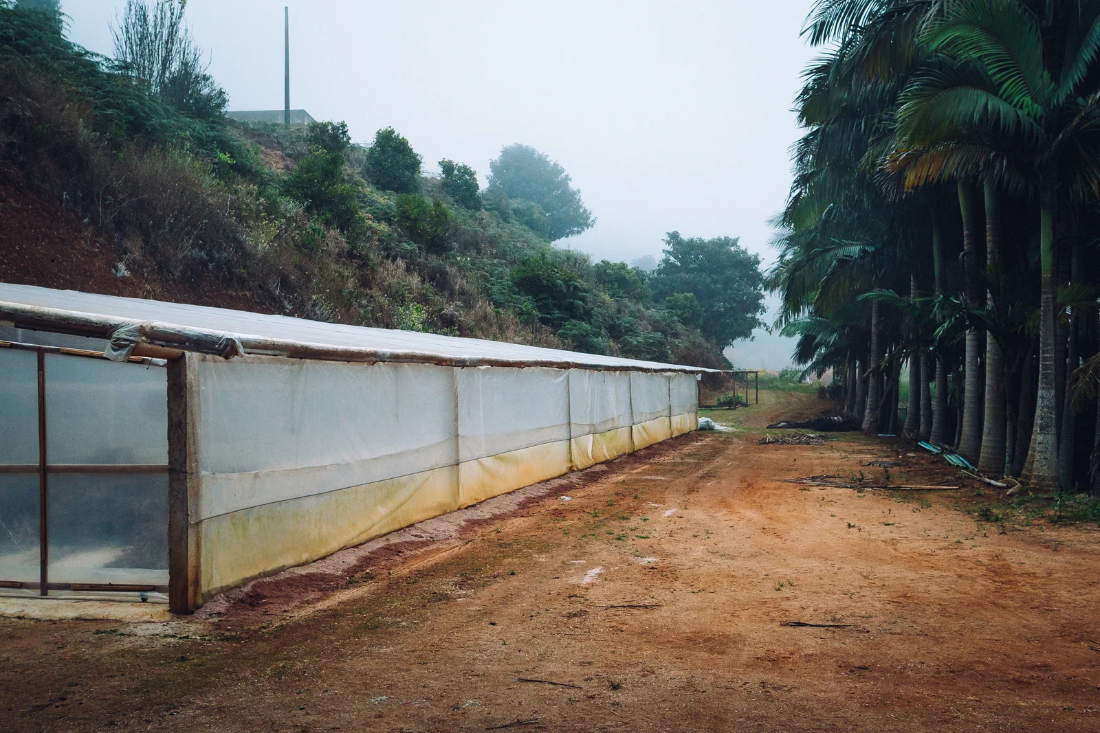 espirito_santo-08064.jpg