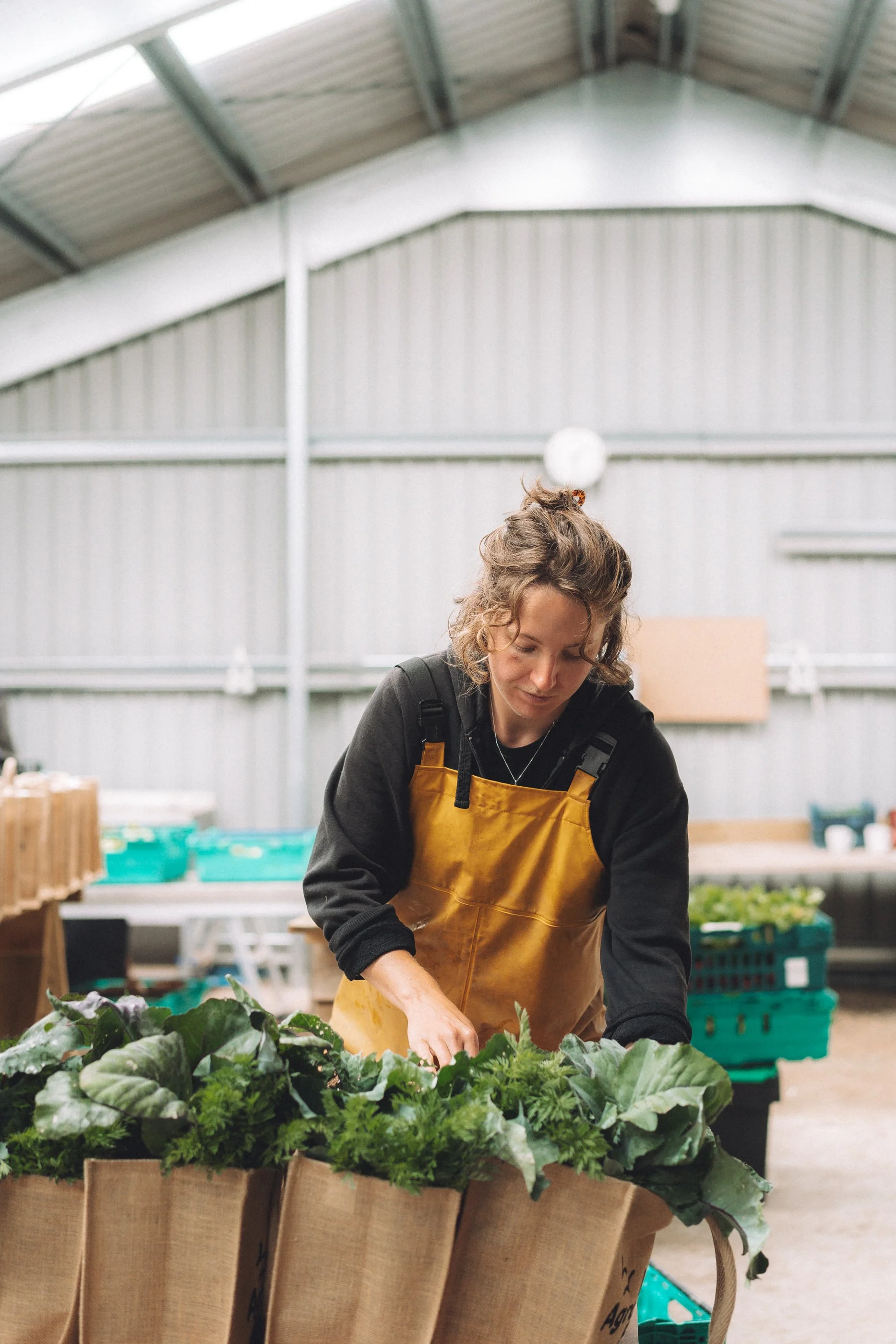 lauriston-agroecological-farm-09201.jpg