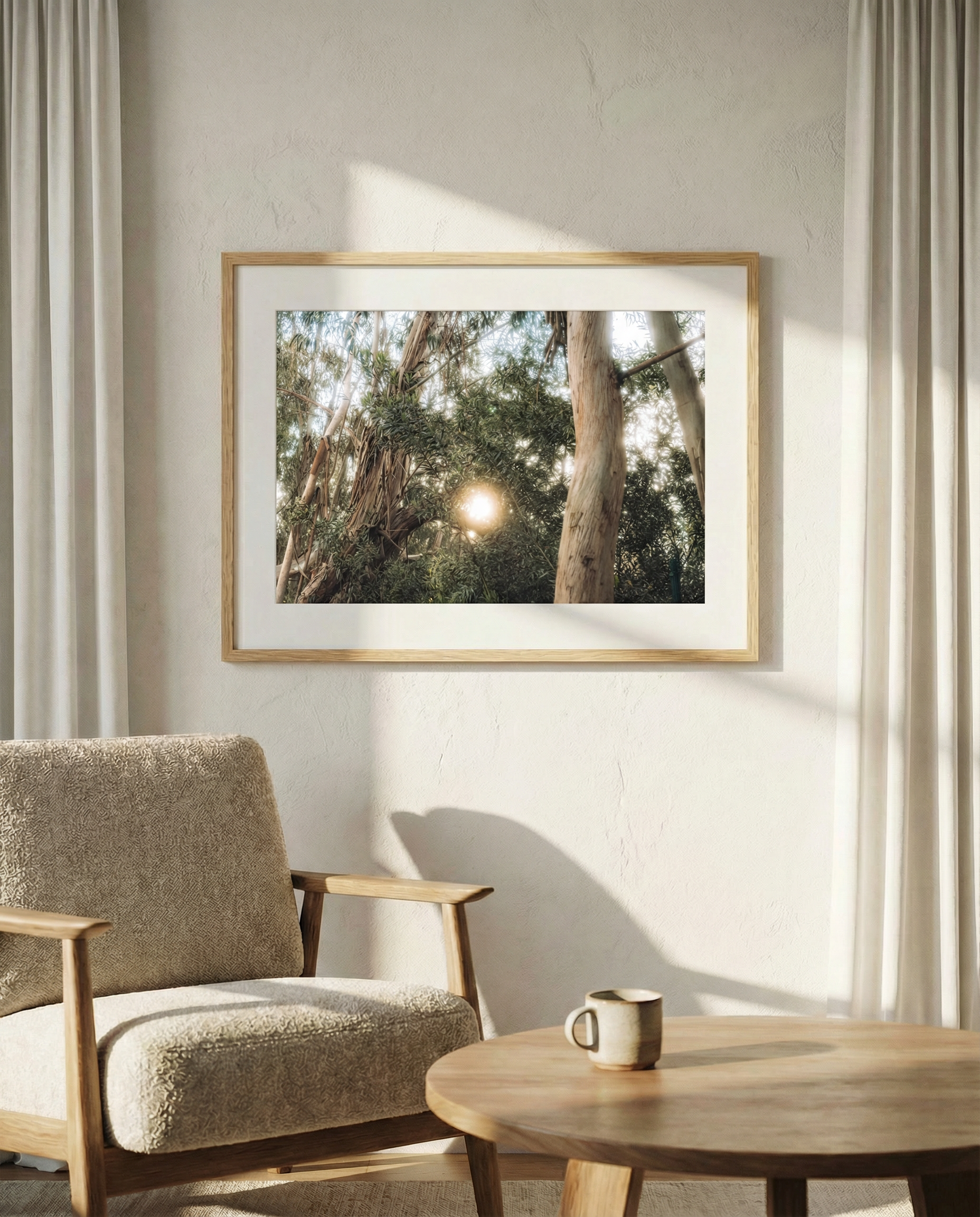 Eucalyptus in Portugal - Landscape