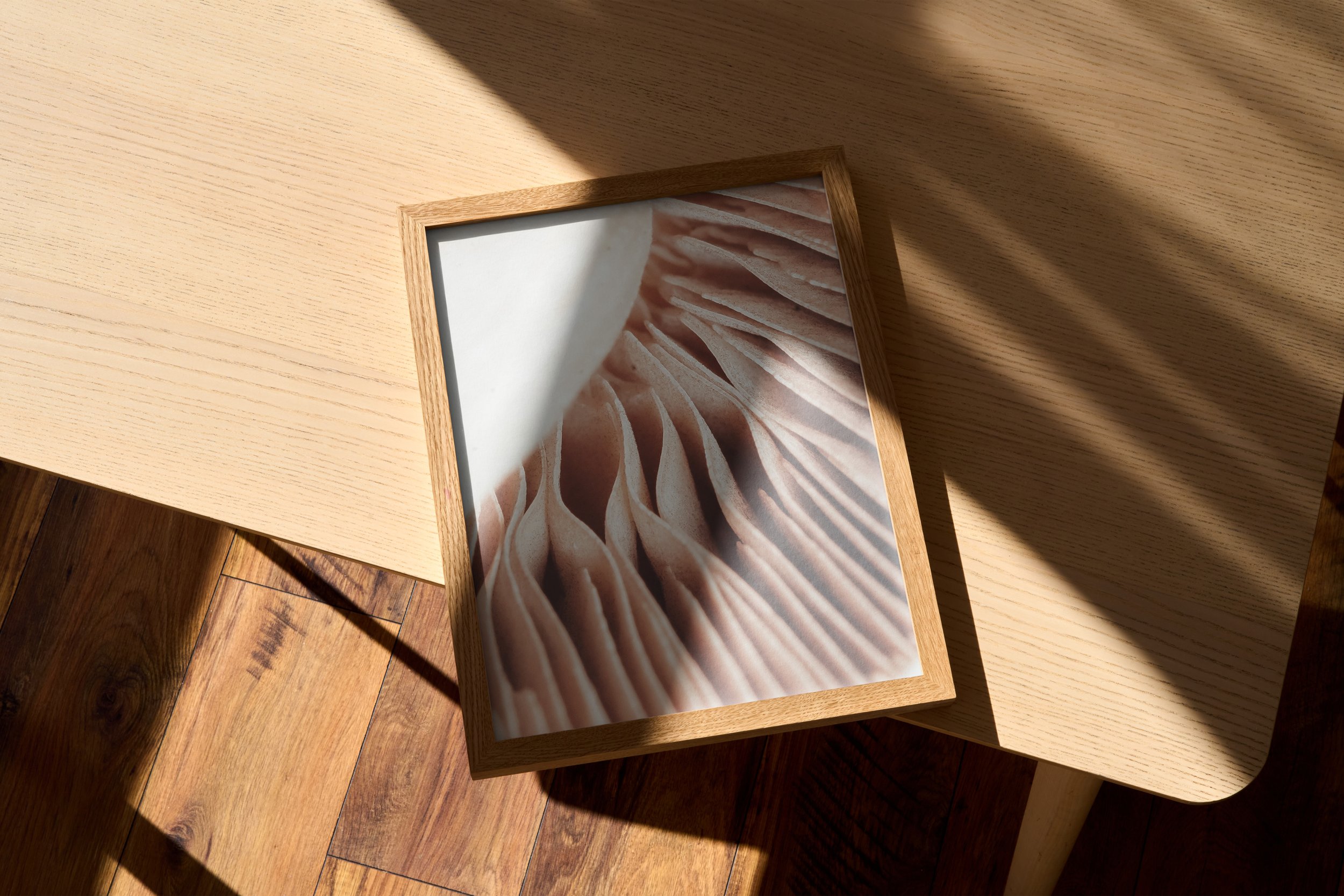 mockup-mushroom.jpg