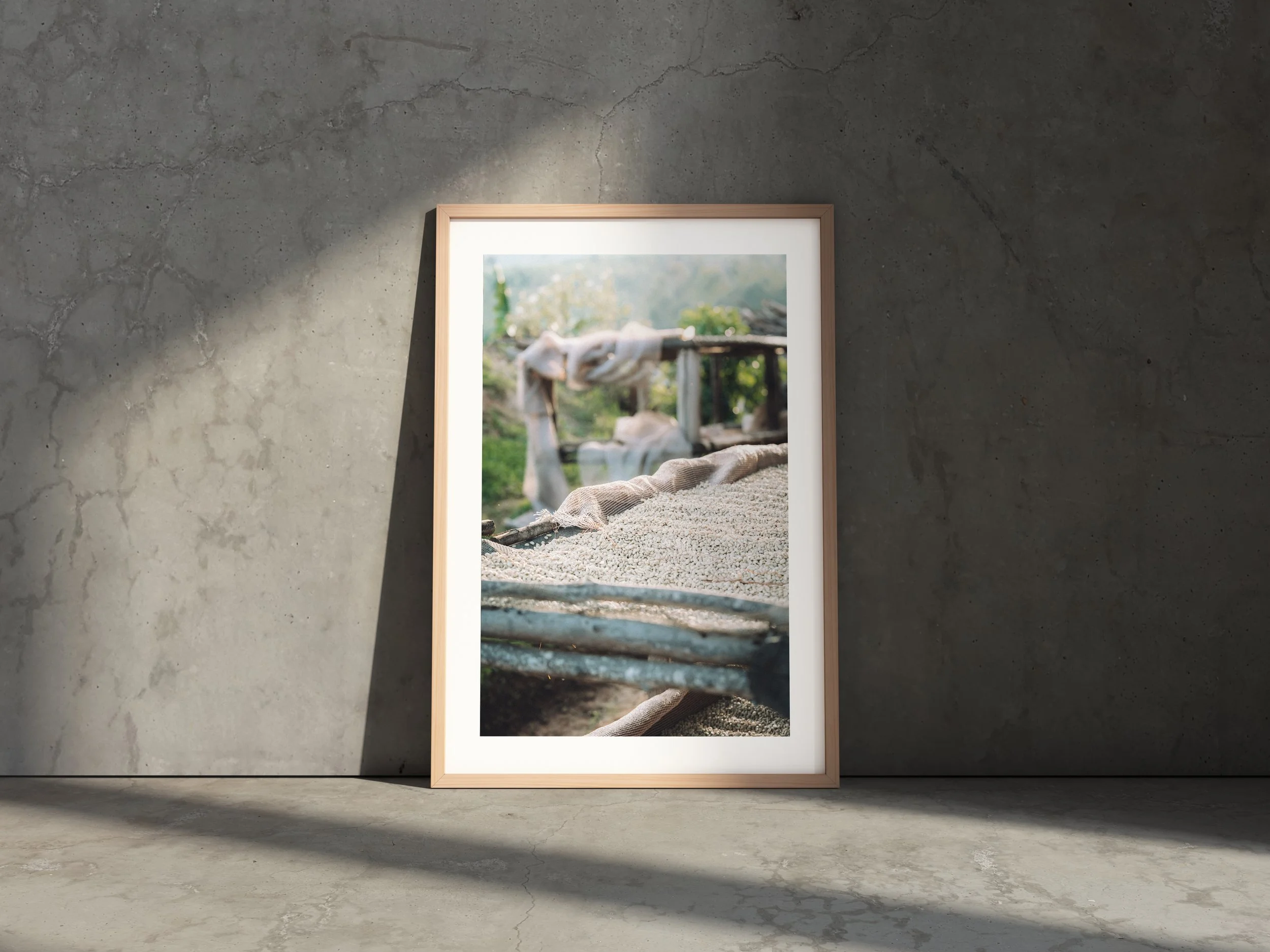 Drying washed coffee