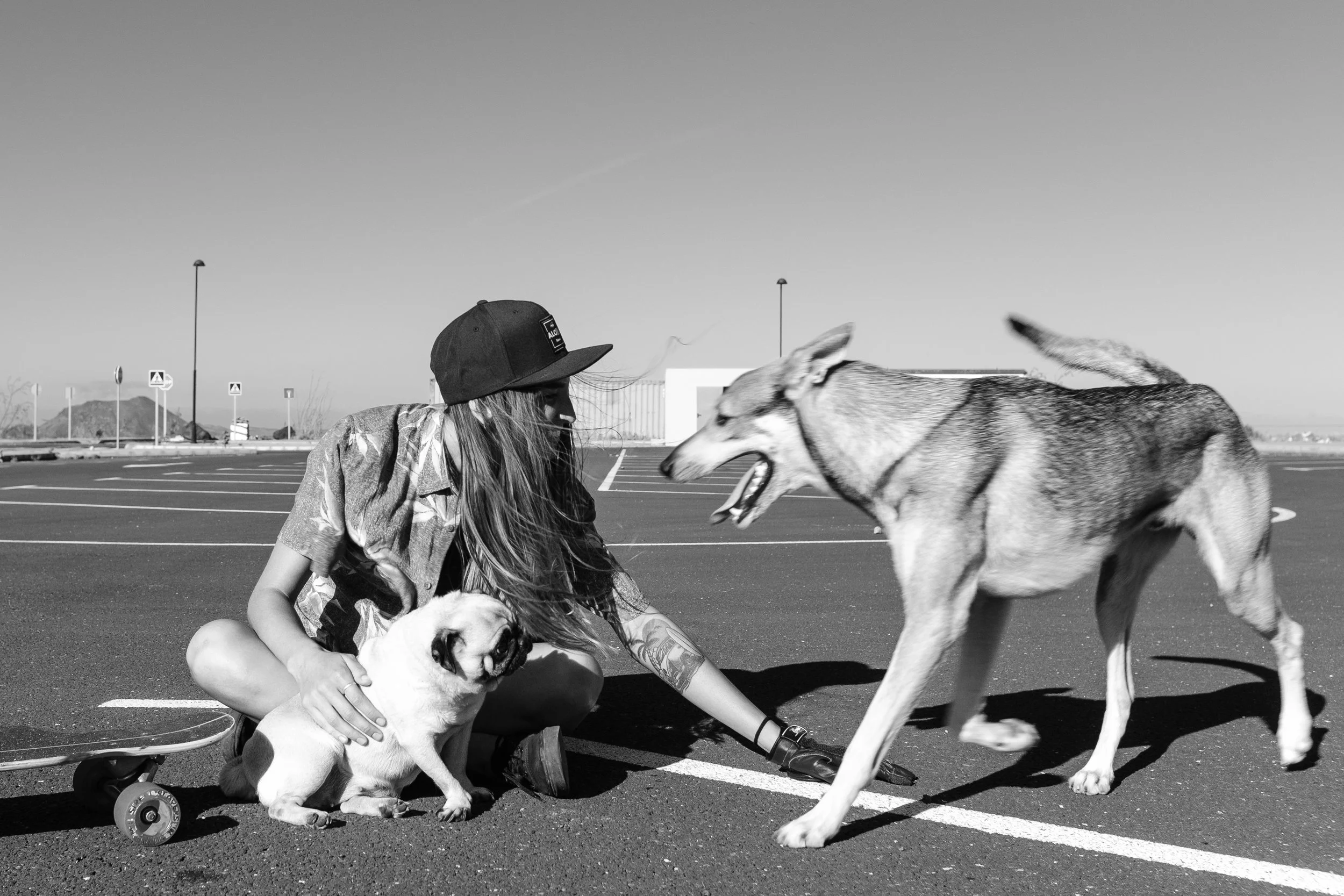 Dog Person.jpg