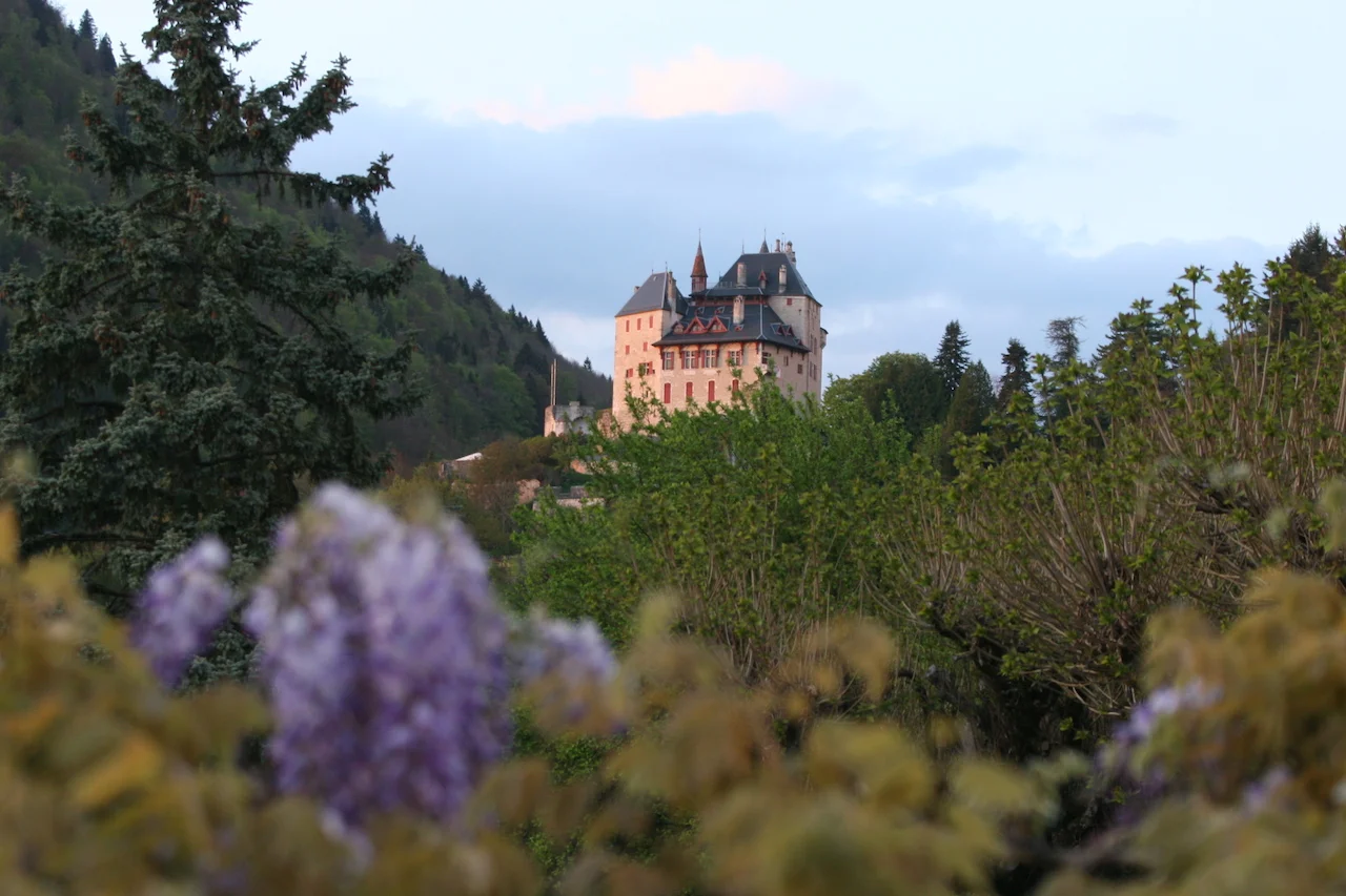 View of Chateau from the deck
