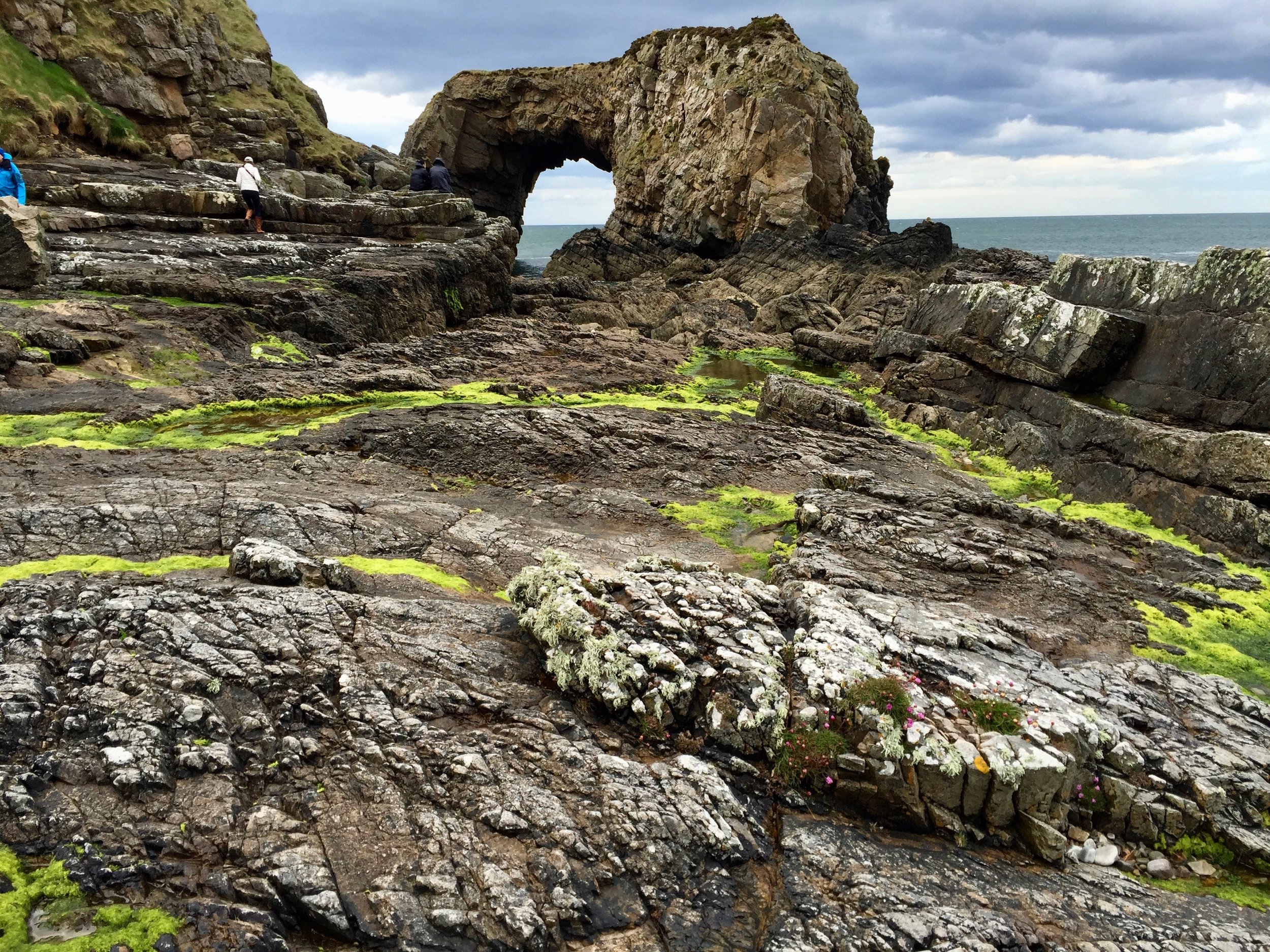 The Great Pollock Sea Arch