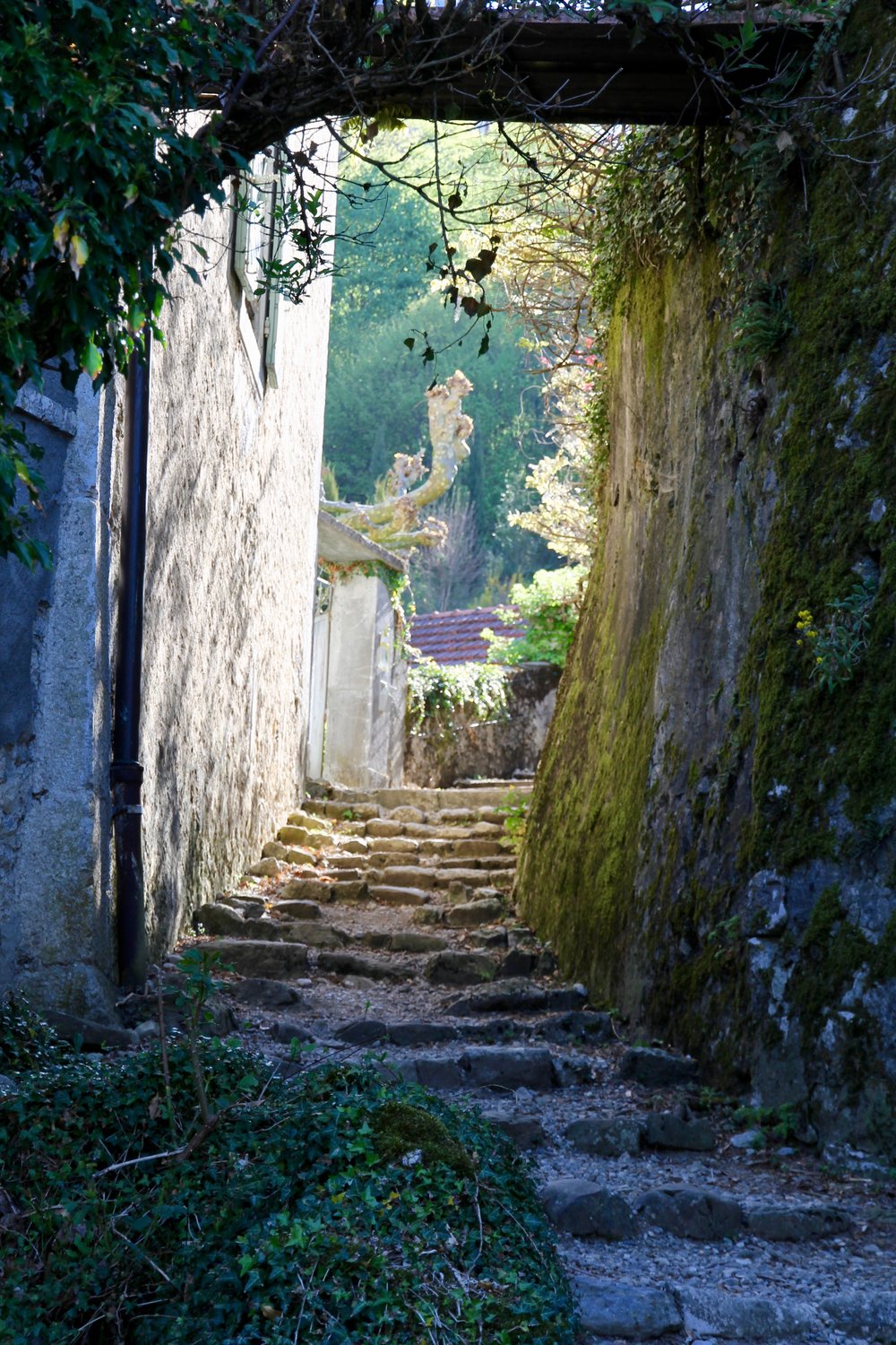 Path to the Chateau