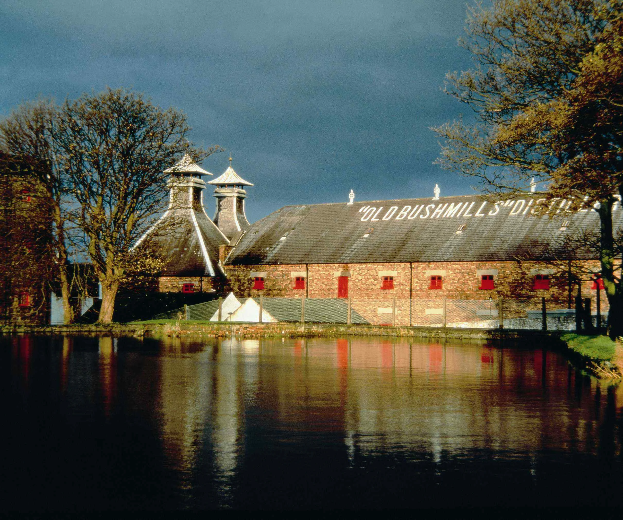 Old Bush Mills Distillery