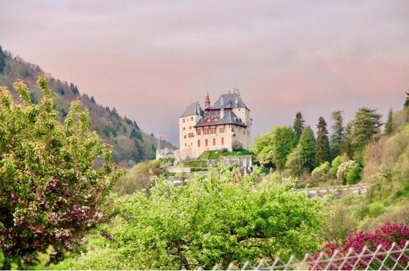 View of the Chateau Menthon St. Bernard from the deck.