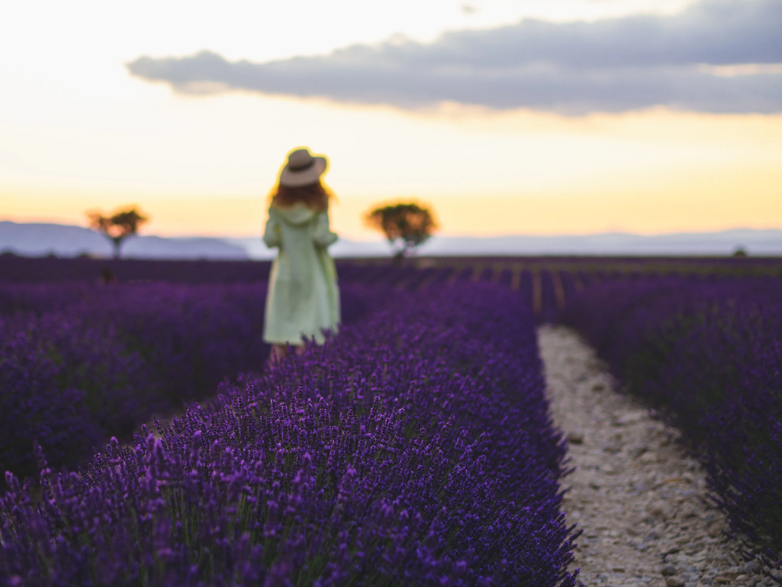 Ahh, PROVENCE!