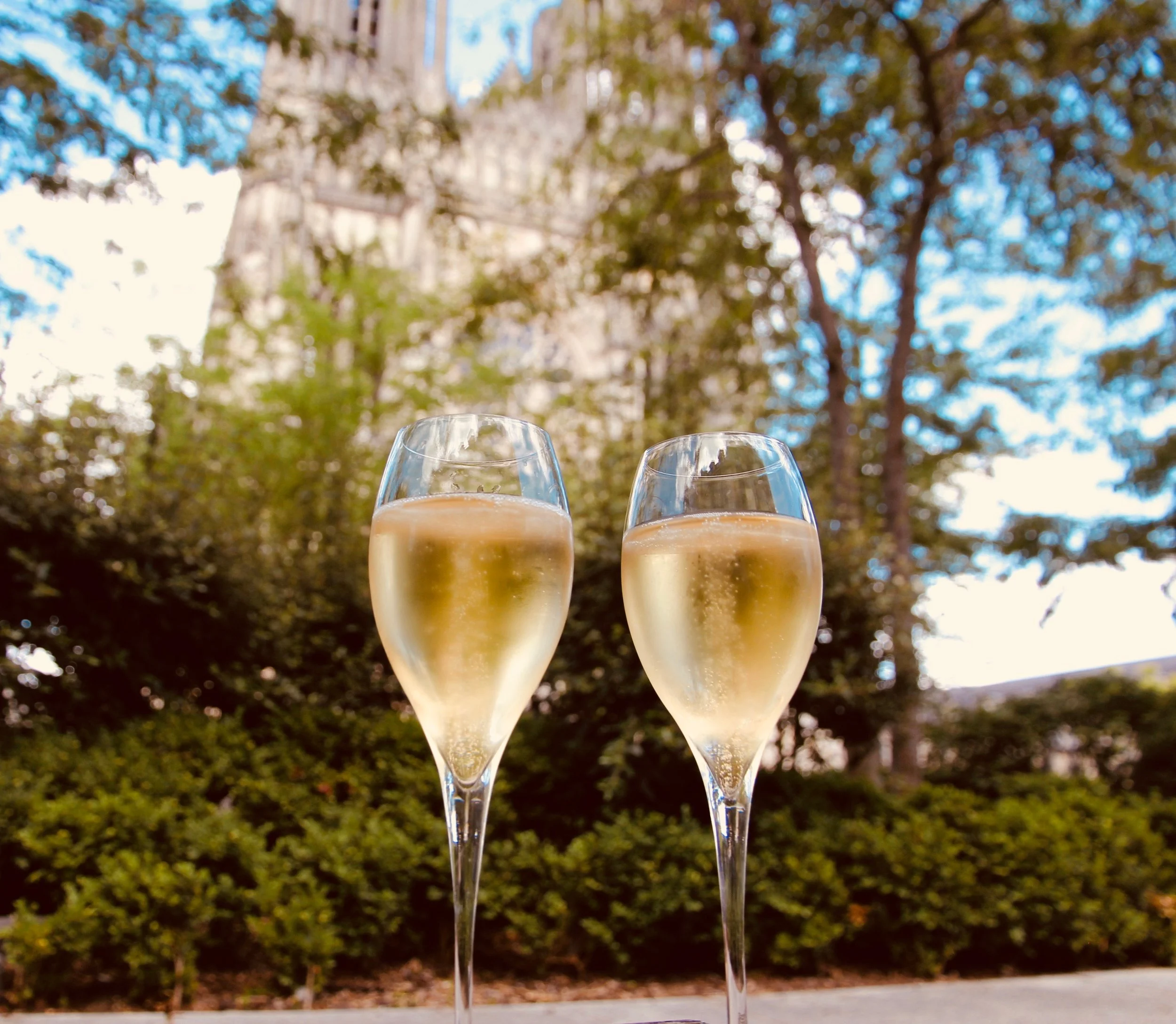 Champagne at the foot of Notre Dame de Remis.