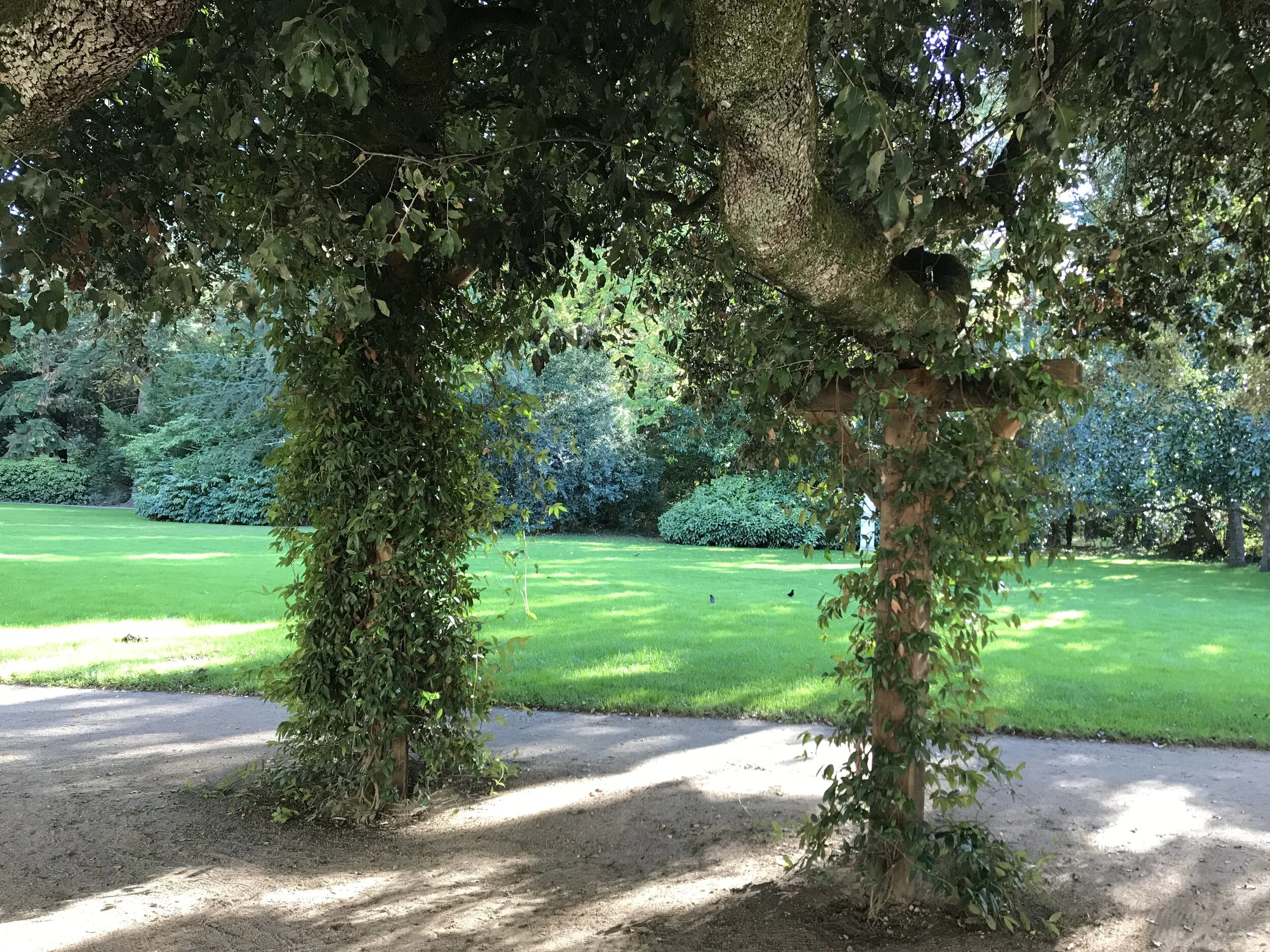 chaumont sur loire3.jpg