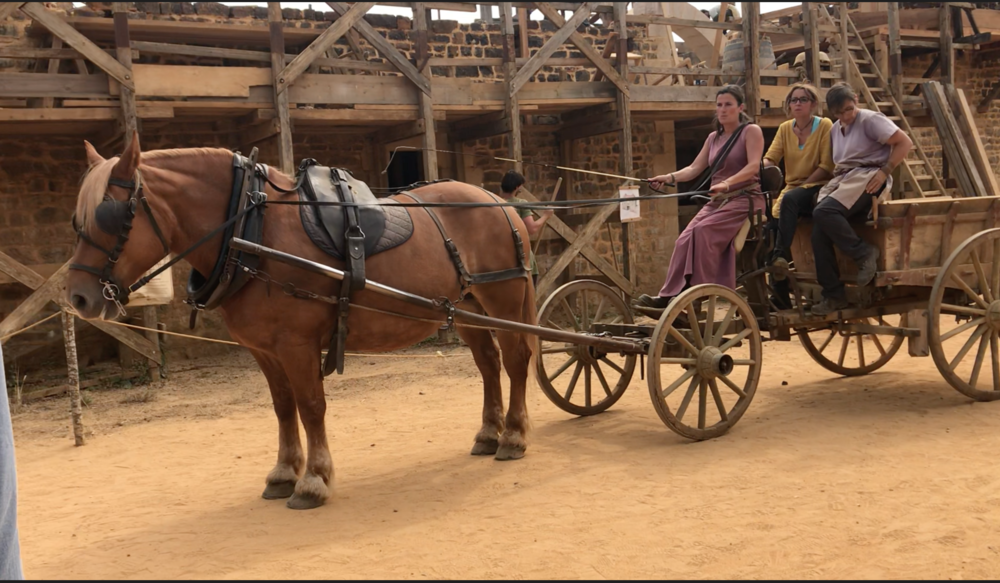 Using horses for work