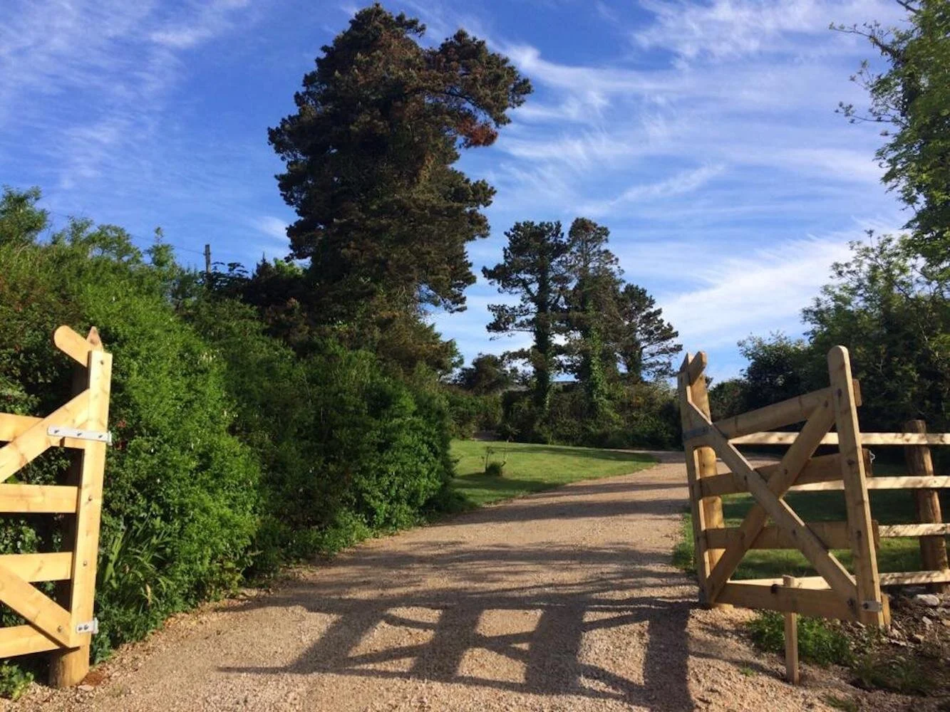 WhatsApp Image 2020-06-13 at 22.51.14-3.jpeg