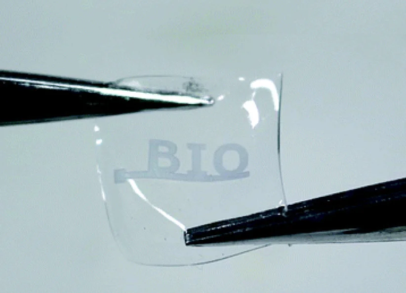 名称未設定 2.jpg