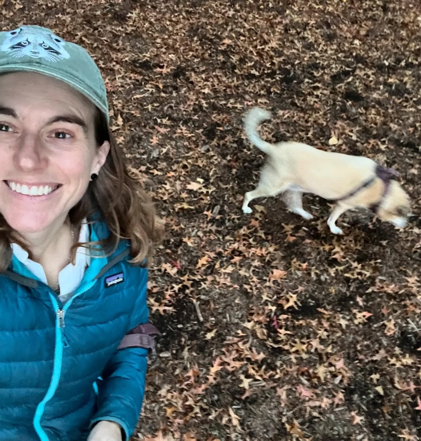 Hi y&rsquo;all! Fall is here which means it&rsquo;s time to turn inward and make cool stuff (or that&rsquo;s what Goose and I get up to when the rain comes). I&rsquo;ve got a very cool all levels storytelling class with @nordicnorthwest that starts T