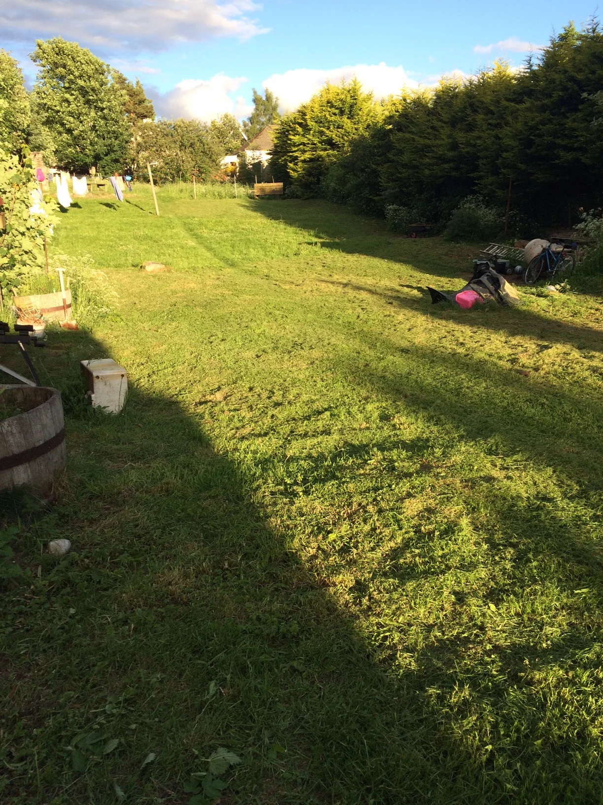 Robn's nest shared garden for all to enjoy