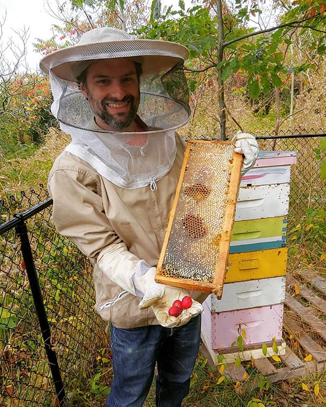 Shana Tova.  Crabapple and fresh honey.#urbanbeekeeping #torontohoney