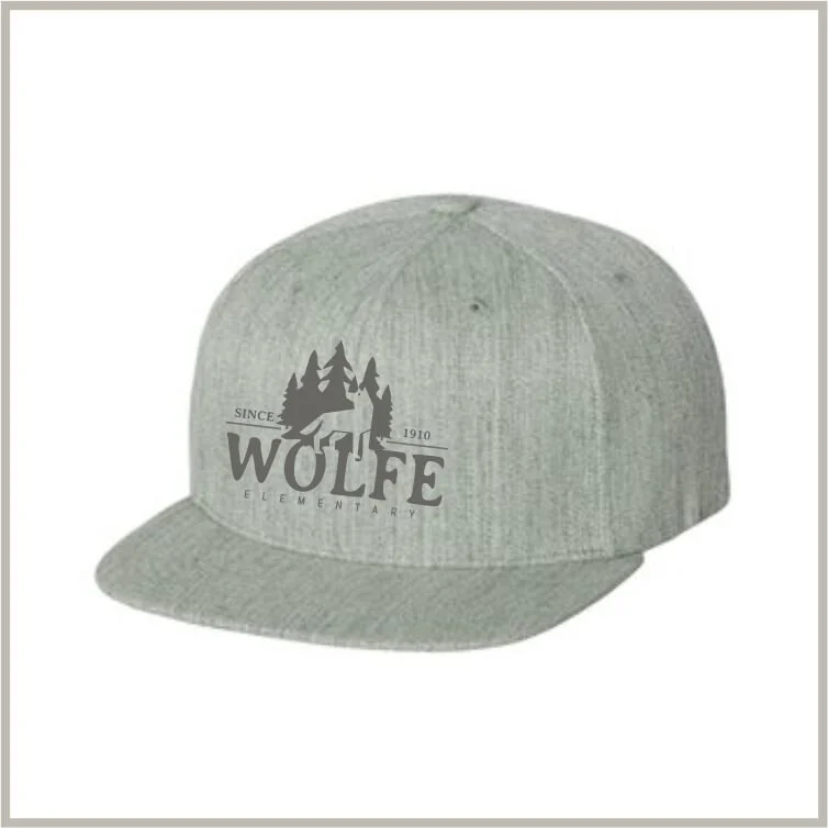 Wolfe flat bill snapback cap - grey