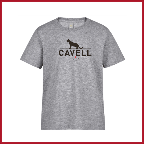 Cavell t-shirt - grey