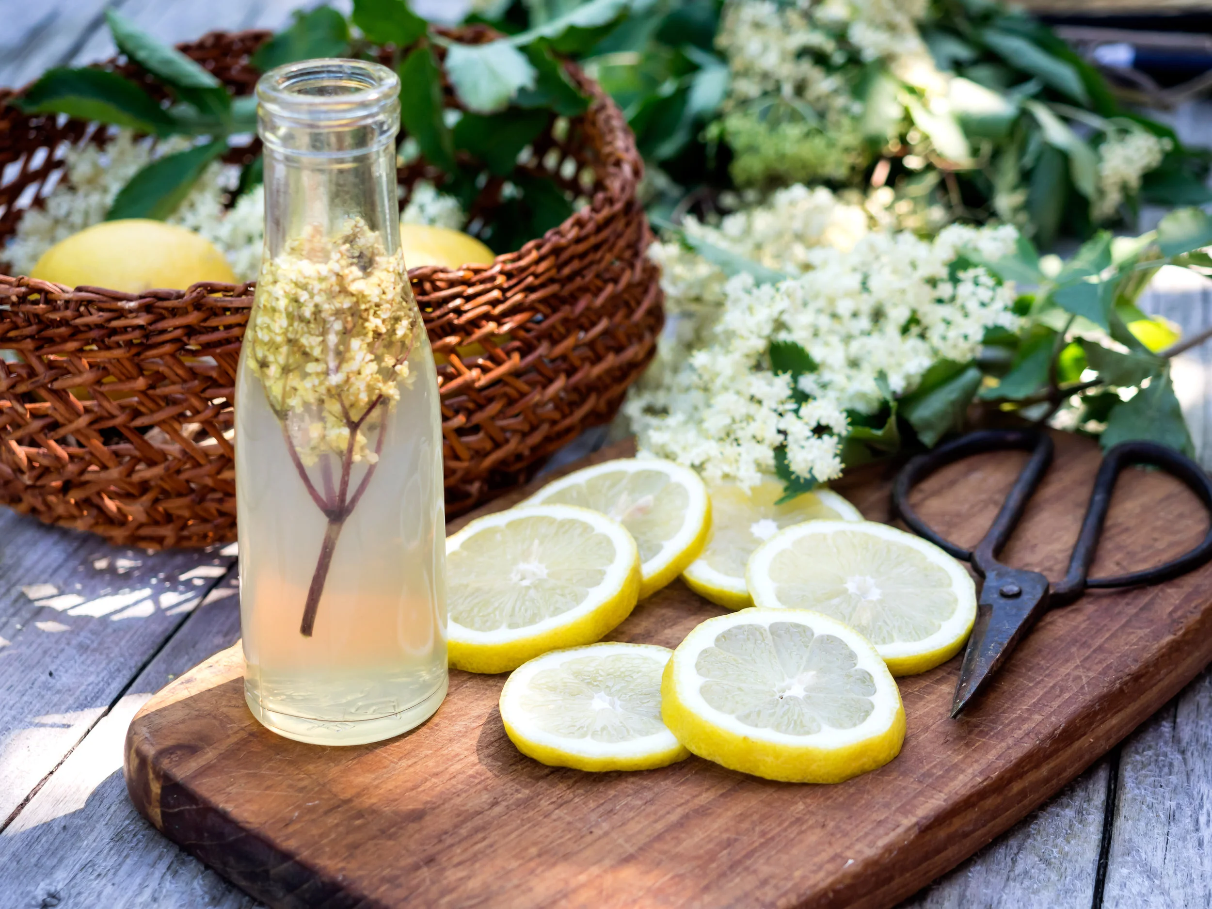 New Year’s Detox &amp; Wellness Reset 