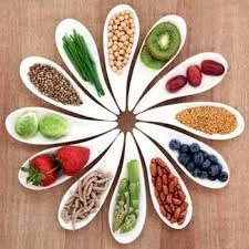 food2.jpg
