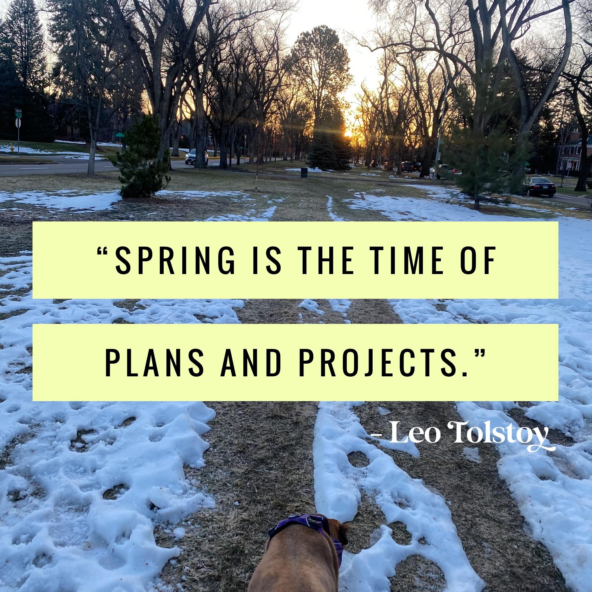 This is one of my most favorite nutrition topics and ways to practice change and getting in touch with what I need&hellip; Seasonal nutrition!

Spring is such a beautiful season. And nature is the ultimate guide on how to live.

Like Tolstoy said, it