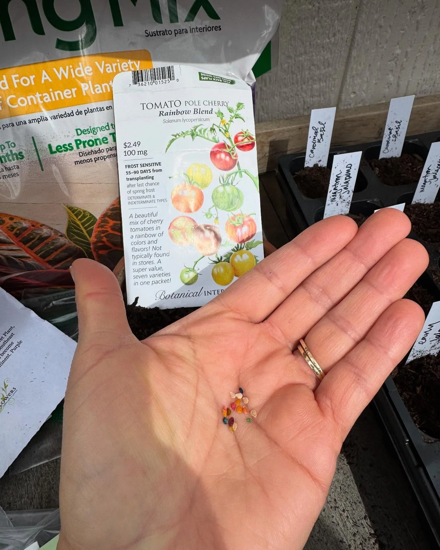 Getting ready for spring!

I cleaned the garage last weekend and found all these seeds! So while I know it&rsquo;s a little late, I couldn&rsquo;t help myself from trying to plant some.

I call it planting money! 

#gardening #grounding #eatlocal #sp
