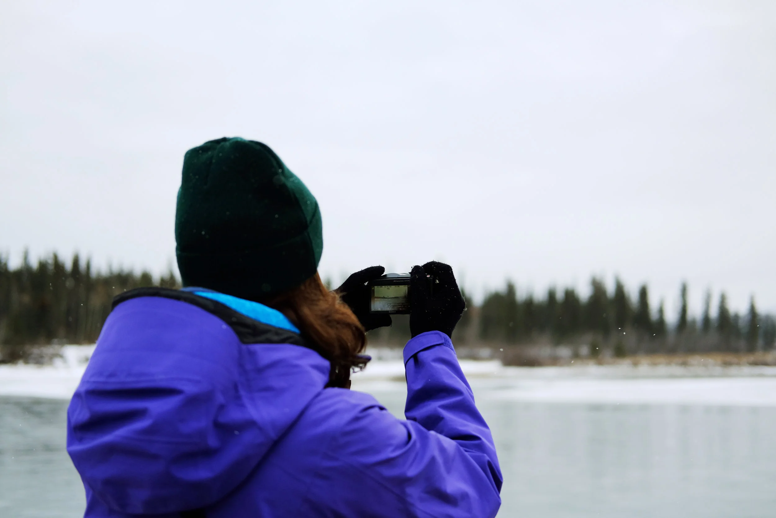 On our one day off, we decided to take a quick walk around town, making it down to the Yukon River.