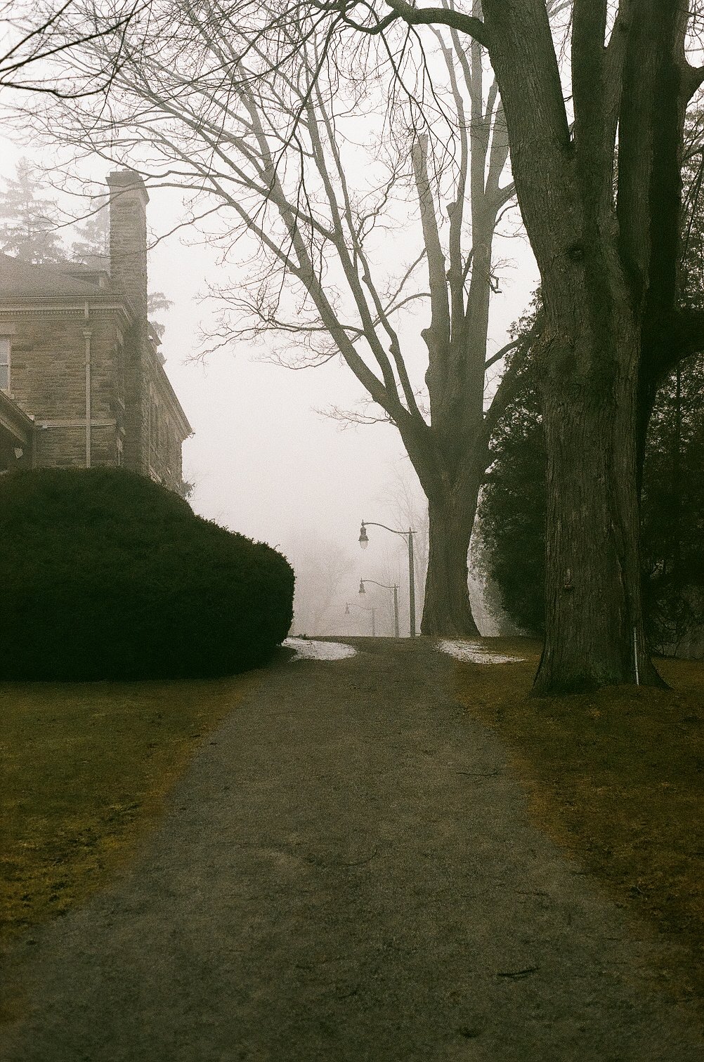  Foggy path, Ontario 