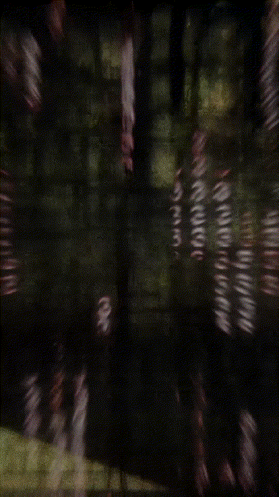 Birthday3333_h264_edit_with_interesting_mood_music.gif