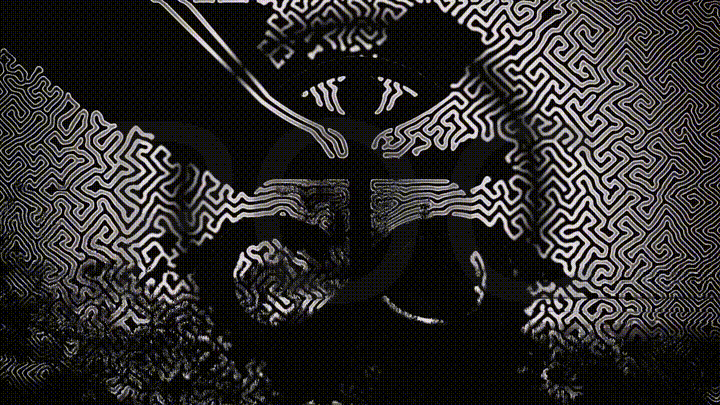 Set4B_Gleix_OutwardDiffMed_4.gif